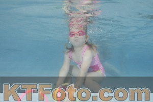 Photo 4262953