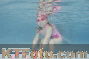 Photo 4262954