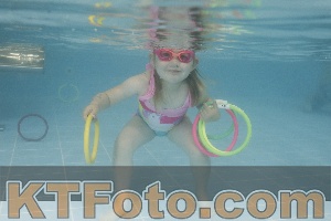 Photo 4262962