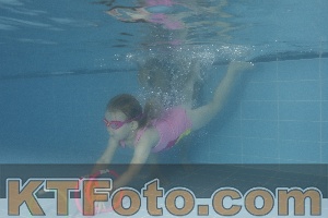 Photo 4262967