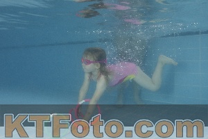 Photo 4262968