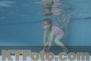 Photo 4262969