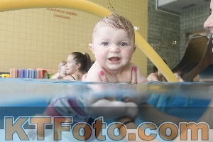 Photo 4263012