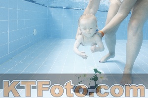 Photo 4263031