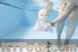 Photo 4263032