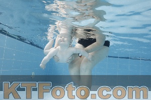 Photo 4263033