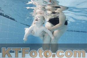 Photo 4263034
