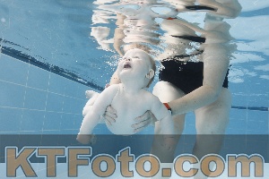 Photo 4263035