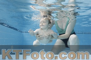 Photo 4263036