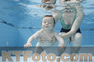 Photo 4263038