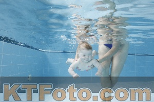 Photo 4263039