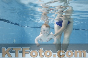 Photo 4263040