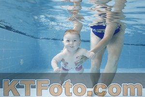Photo 4263041
