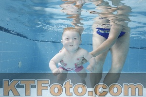 Photo 4263042