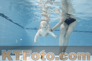 Photo 4263043