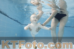 Photo 4263045