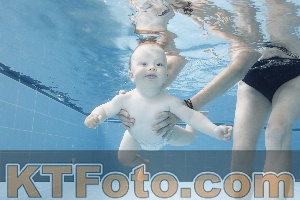 Photo 4263046