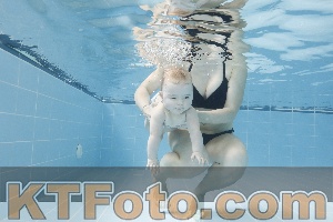 Photo 4263048