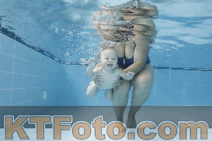 Photo 4263050