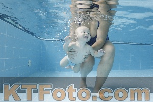 Photo 4263051
