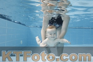 Photo 4263053