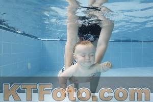 Photo 4263054