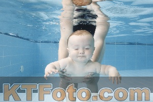 Photo 4263055