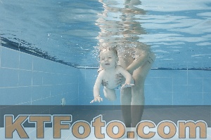 Photo 4263056