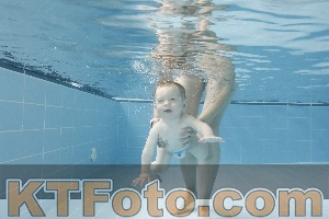 Photo 4263057