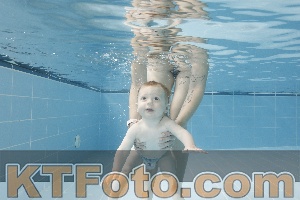 Photo 4263058