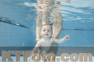 Photo 4263059
