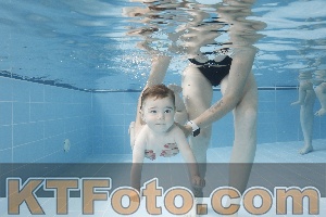 Photo 4263061