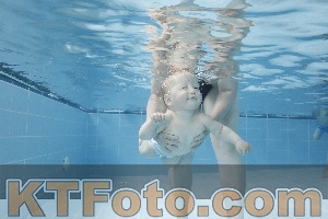 Photo 4263063