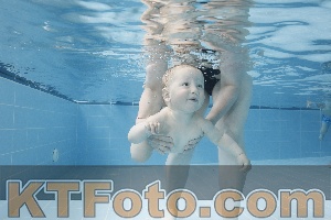 Photo 4263064