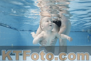 Photo 4263065