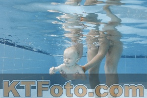 Photo 4263066