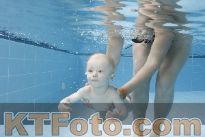 Photo 4263068