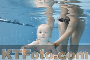 Photo 4263069