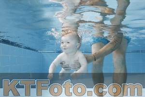 Photo 4263070