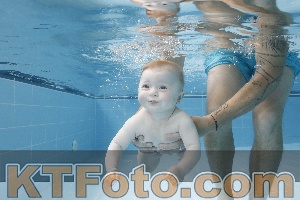 Photo 4263071