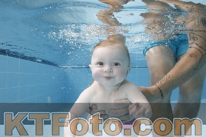 Photo 4263072