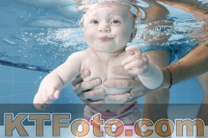 Photo 4263073