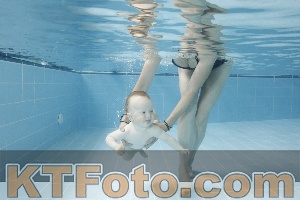 Photo 4263074