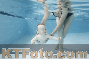 Photo 4263075