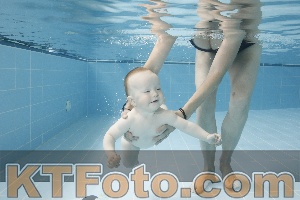Photo 4263076
