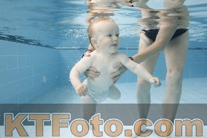 Photo 4263077