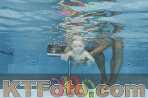 Photo 4263078