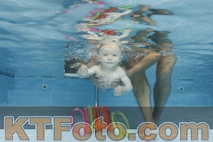 Photo 4263079