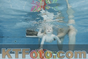 Photo 4263080