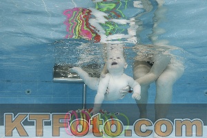 Photo 4263081